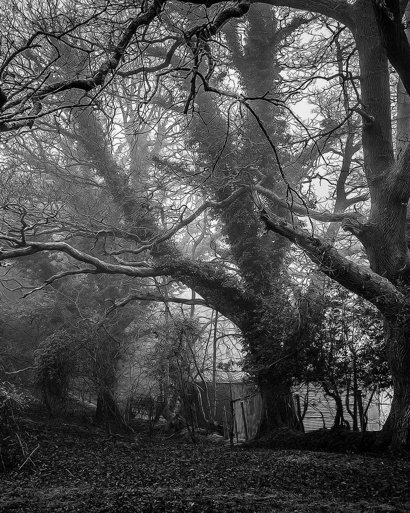 A Little Chaos - Image 4