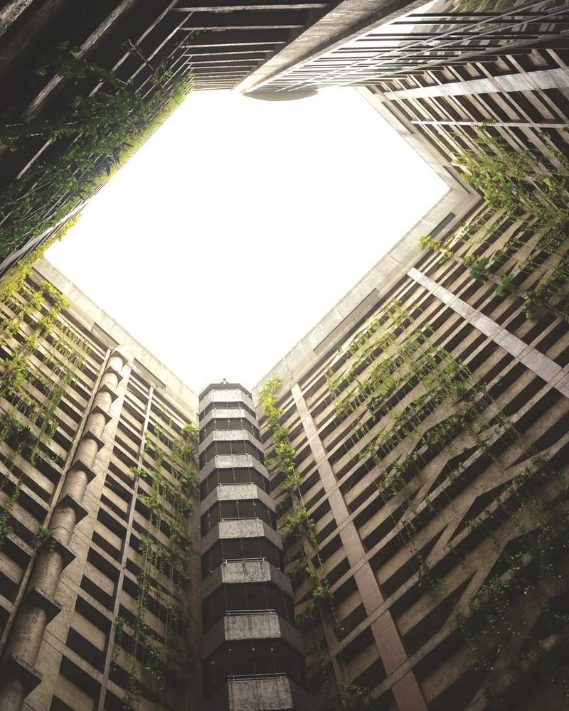 Color Pencil - Image 3