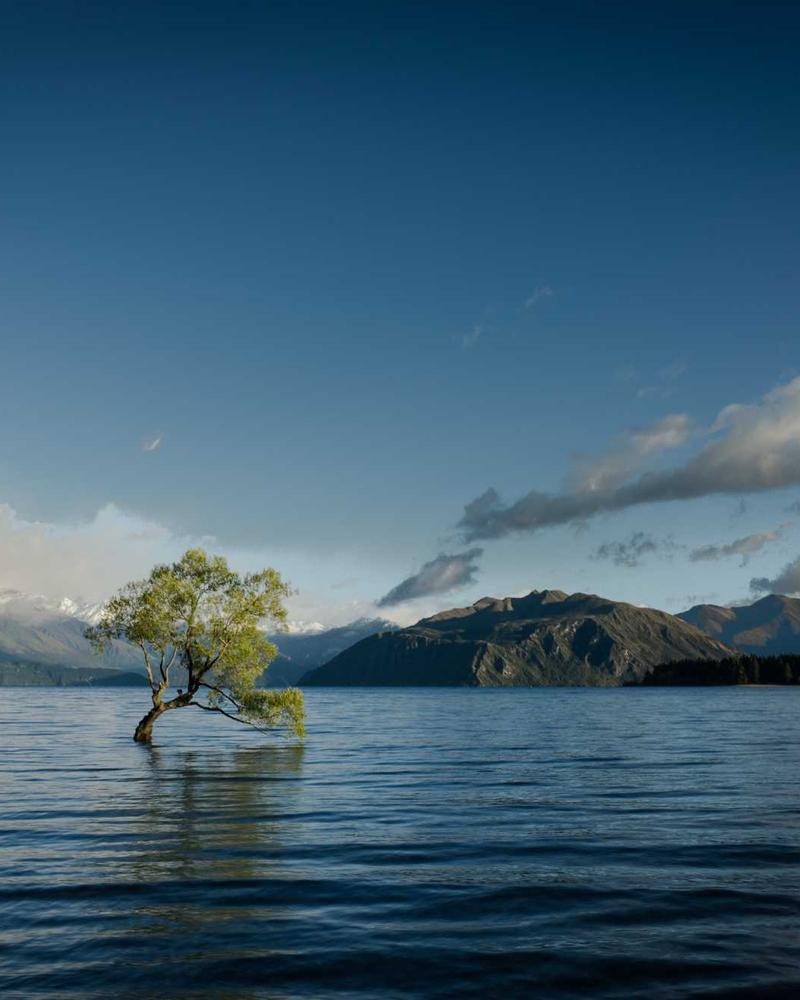 Don't Let Nobody Dull Your Shine - Image 3