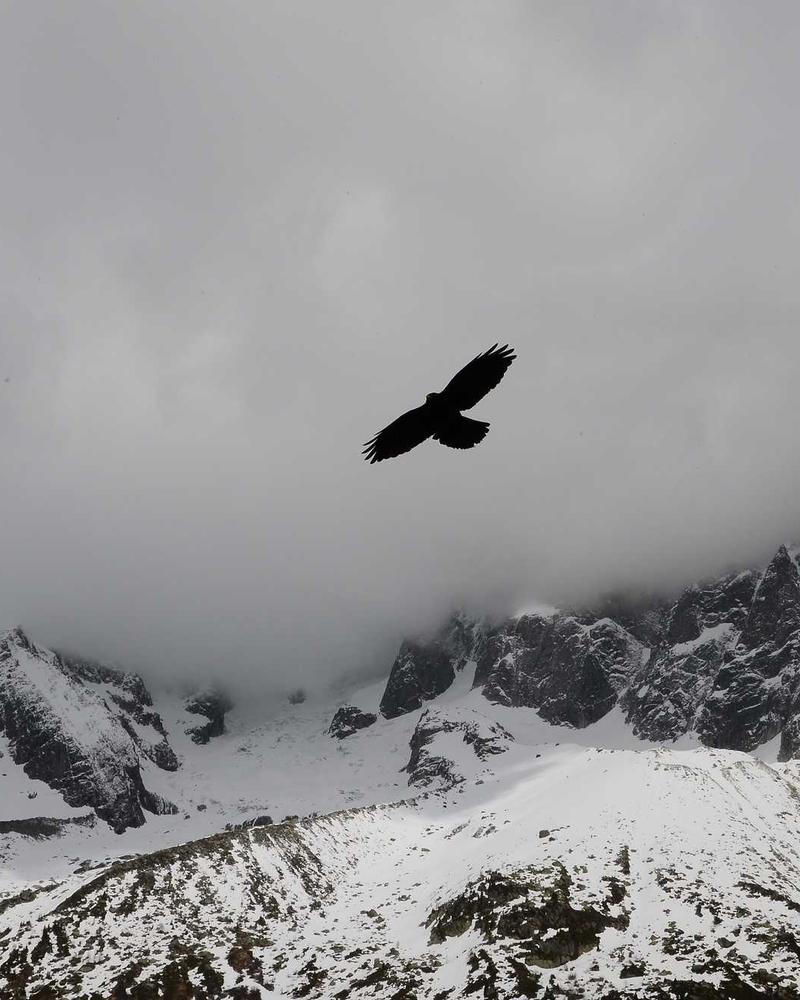 Don't Let Nobody Dull Your Shine - Image 5