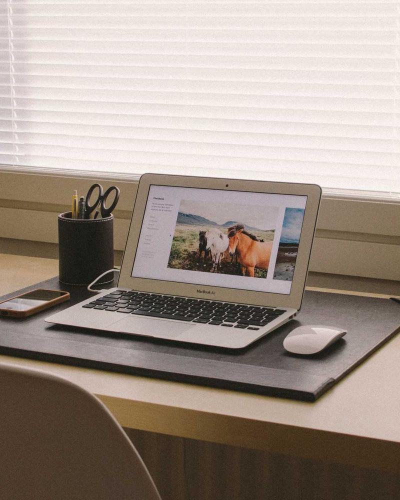 Hurting Bird - Image 1