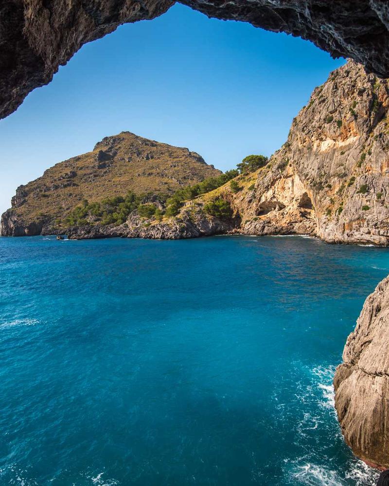 Hurting Bird - Image 3