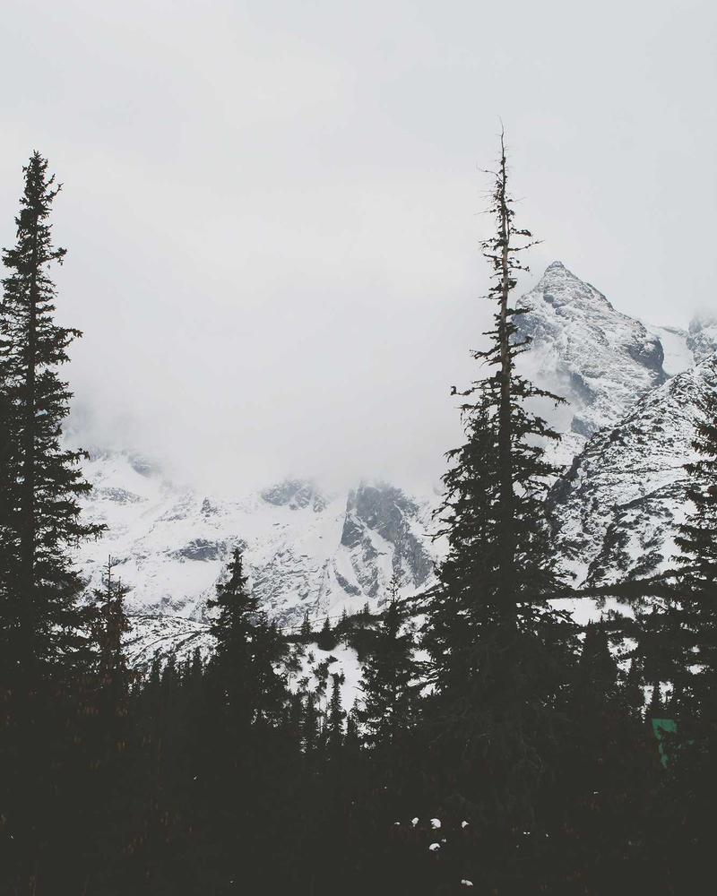 Mystery Guy - Image 4