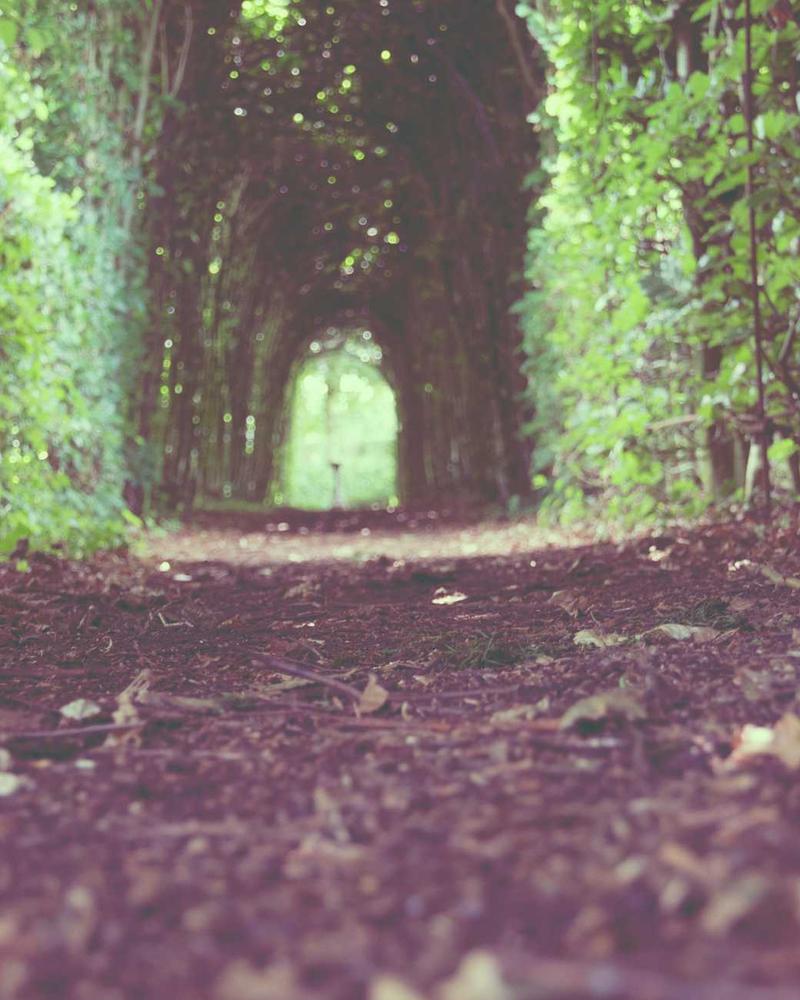 The Pearl Muse - Image 3