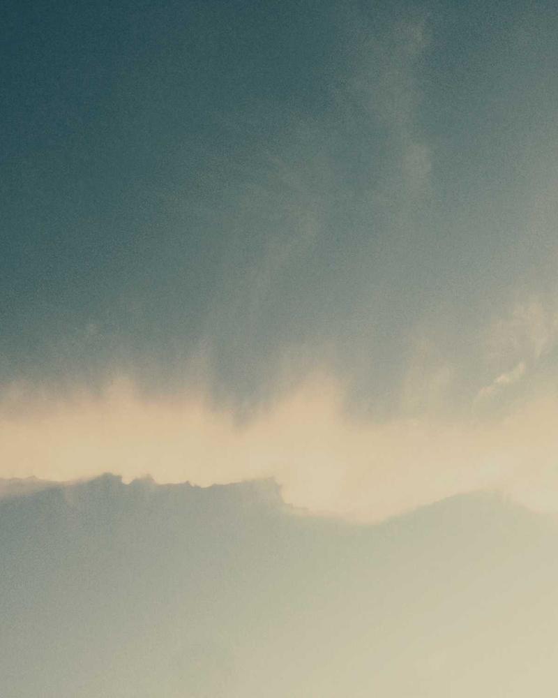 White Anthurium - Image 2