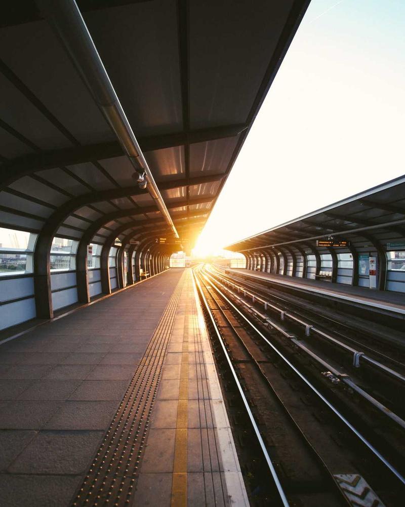 White Anthurium - Image 4